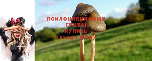 PSILOCYBIN Алексеевка