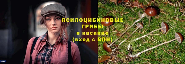дживик Алзамай