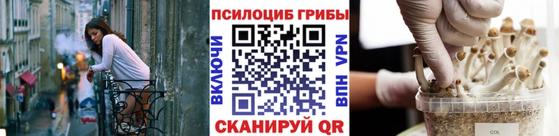Псилоцибиновые грибы Magic Shrooms  Пугачёв 